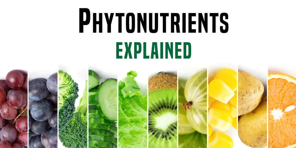 The Power of Phytonutrients: Exploring Lesser-Known Plant Compounds and Their Health Benefits